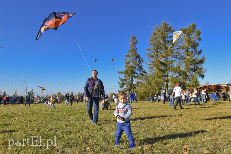 Łęcze, latawce, wiatr... zdjęcie nr 186604