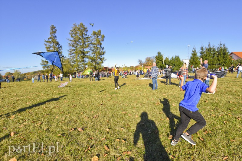 Łęcze, latawce, wiatr... zdjęcie nr 186585