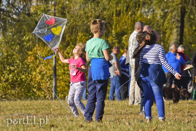 Łęcze, latawce, wiatr... zdjęcie nr 186613