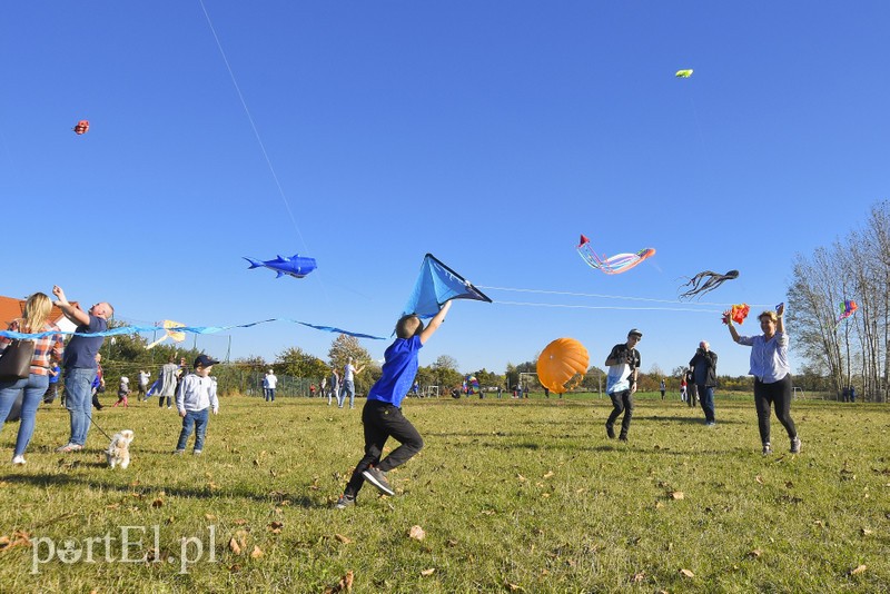 Łęcze, latawce, wiatr... zdjęcie nr 186586