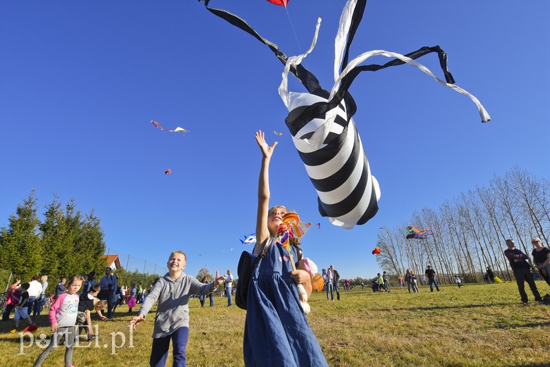 Łęcze, latawce, wiatr... zdjęcie nr 186615