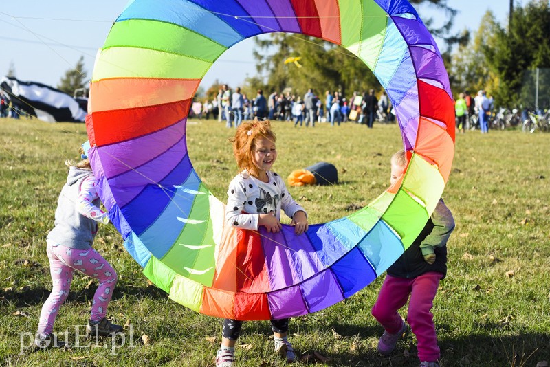 Łęcze, latawce, wiatr... zdjęcie nr 186580