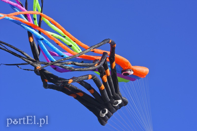 Łęcze, latawce, wiatr... zdjęcie nr 186611