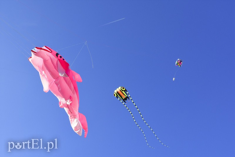 Łęcze, latawce, wiatr... zdjęcie nr 186583