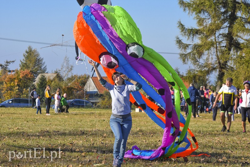 Łęcze, latawce, wiatr... zdjęcie nr 186581