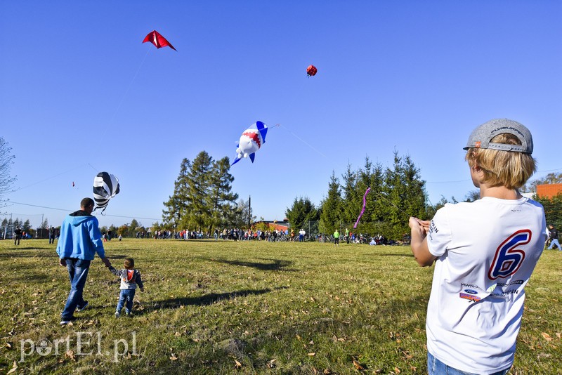 Łęcze, latawce, wiatr... zdjęcie nr 186577