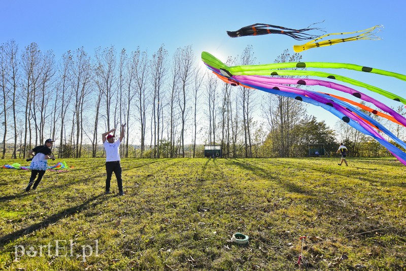 Łęcze, latawce, wiatr... zdjęcie nr 186576