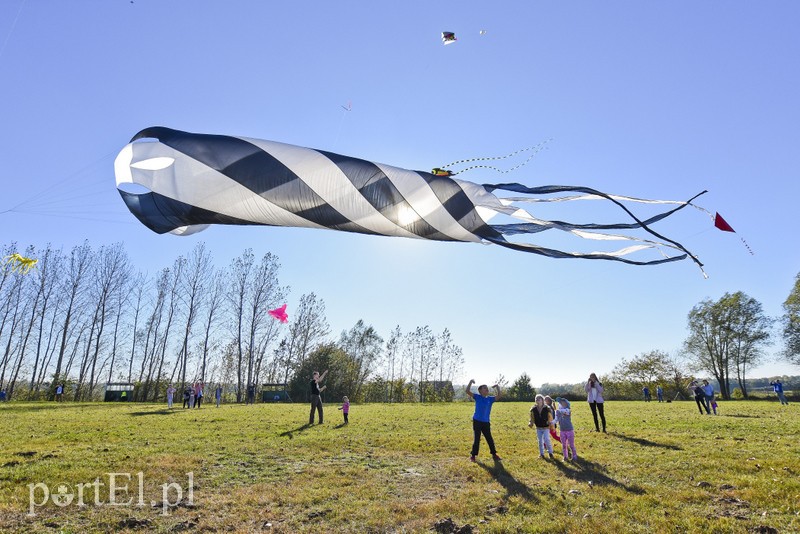 Elbląg Łęcze, latawce, wiatr...