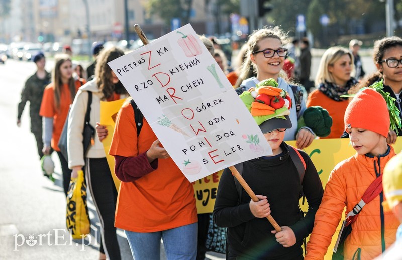 Strajk żywności zdjęcie nr 186814