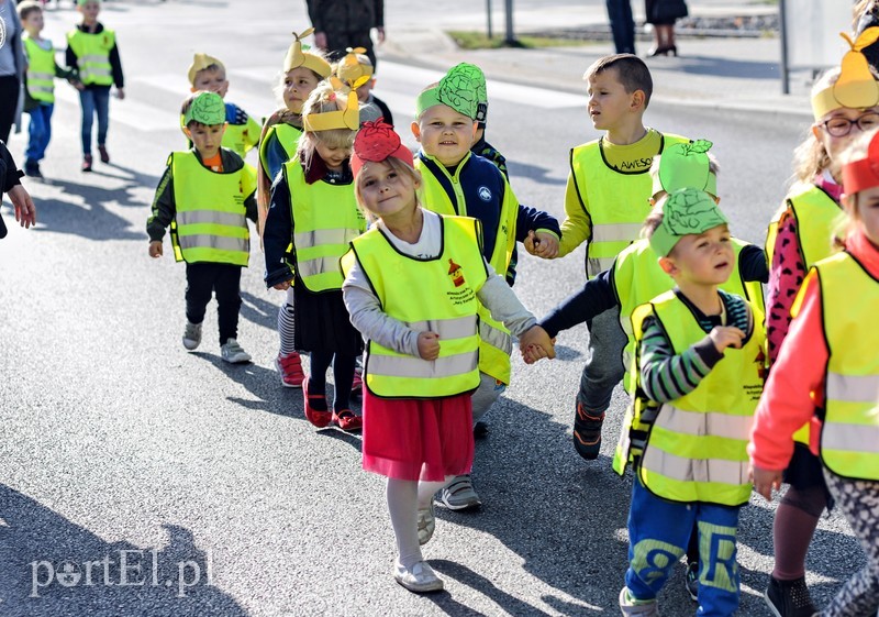 Strajk żywności zdjęcie nr 186806
