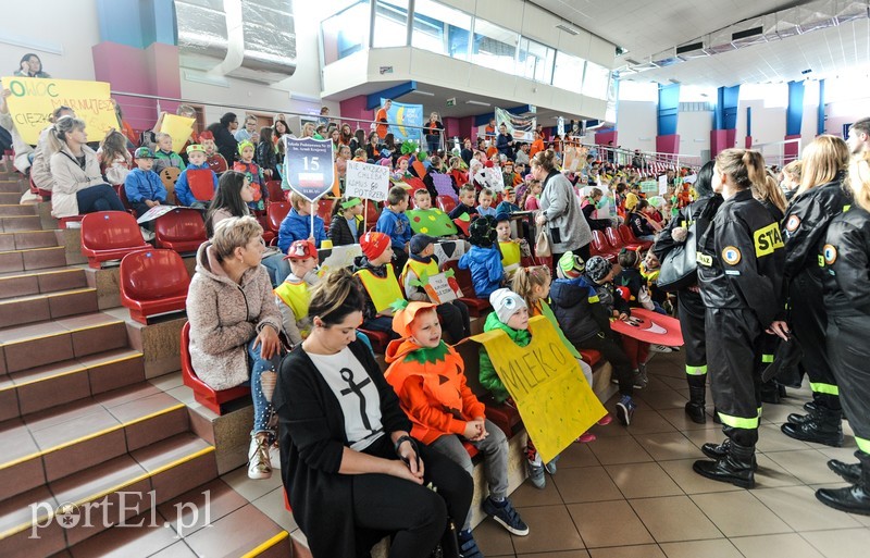 Strajk żywności zdjęcie nr 186824