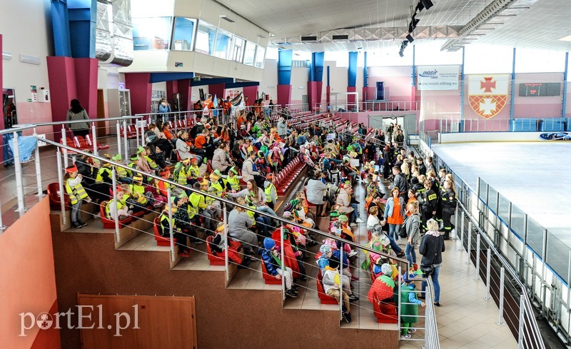 Strajk żywności zdjęcie nr 186822