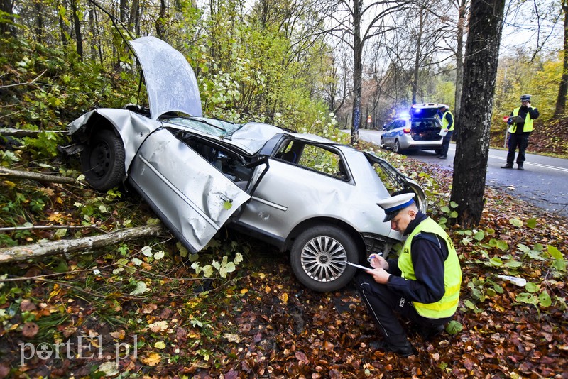 Audi uderzyło w drzewo zdjęcie nr 187604