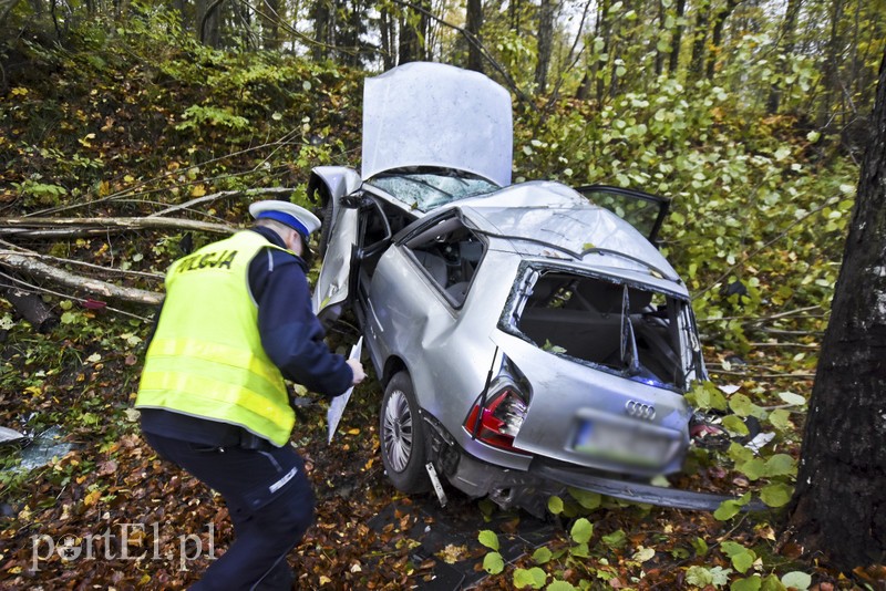 Audi uderzyło w drzewo zdjęcie nr 187603