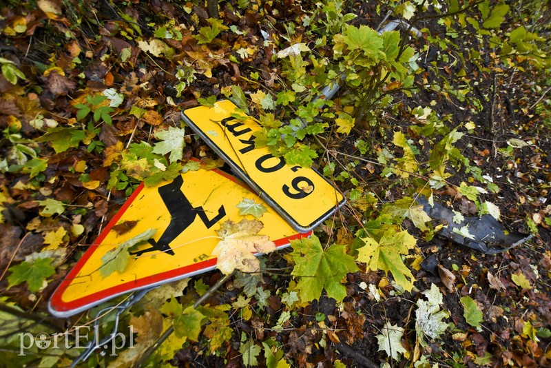 Audi uderzyło w drzewo zdjęcie nr 187609