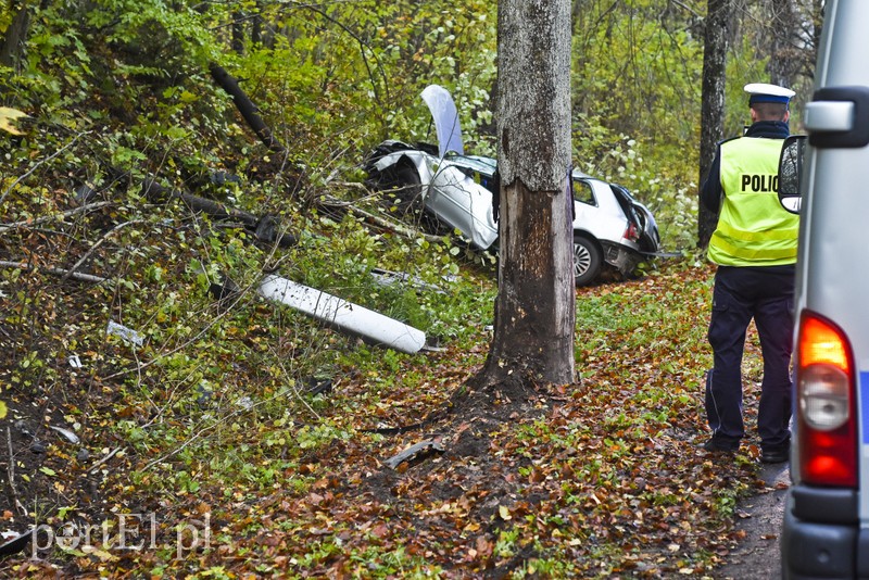 Audi uderzyło w drzewo zdjęcie nr 187597