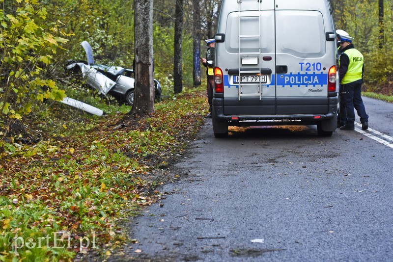 Audi uderzyło w drzewo zdjęcie nr 187596