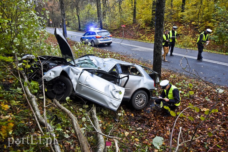 Audi uderzyło w drzewo zdjęcie nr 187605