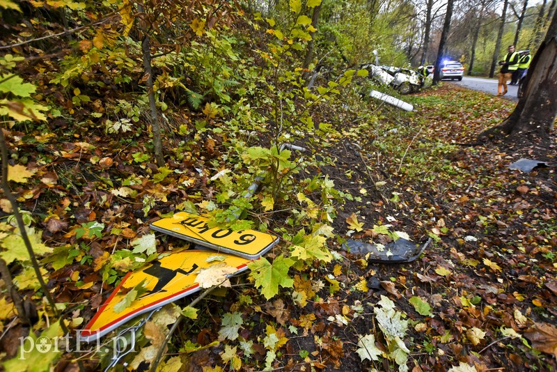 Audi uderzyło w drzewo zdjęcie nr 187608