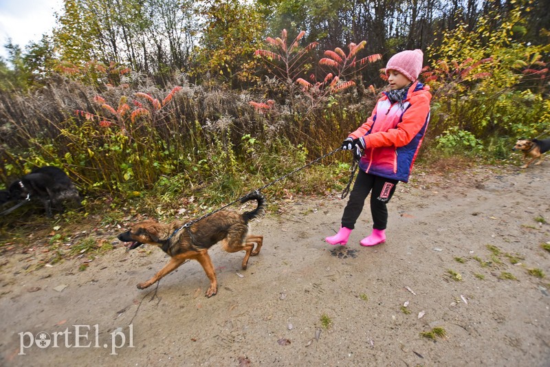 Biegiem na spacer! zdjęcie nr 187631