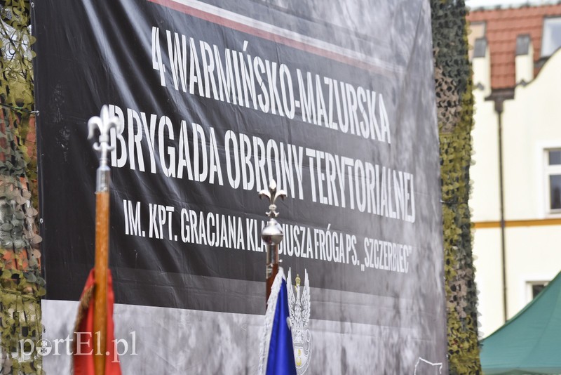 Ochotnicy stali się żołnierzami zdjęcie nr 187686