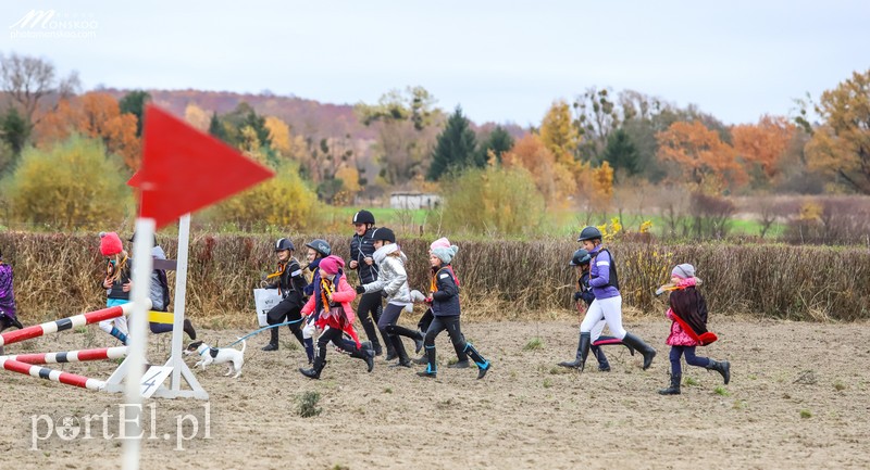 Straszne zawody z cyklu Pony Cup za nami zdjęcie nr 188388