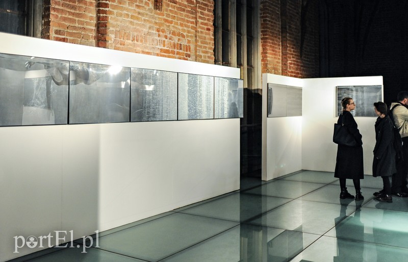 Galeria EL prezentuje zdjęcie nr 188663