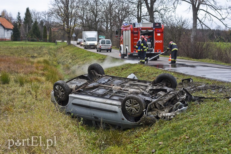 Dachowanie koło Próchnika zdjęcie nr 189330