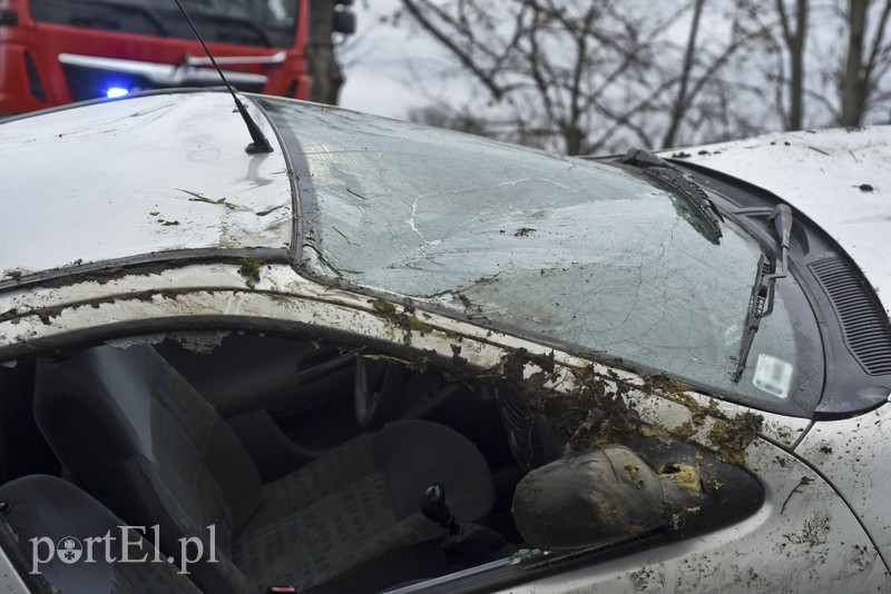 Dachowanie koło Próchnika zdjęcie nr 189341