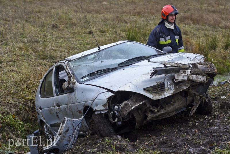 Dachowanie koło Próchnika zdjęcie nr 189340