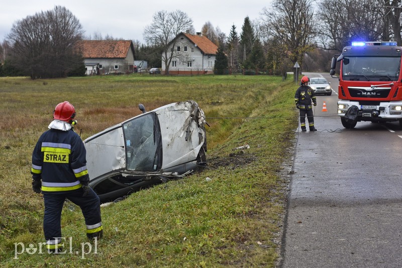 Dachowanie koło Próchnika zdjęcie nr 189339