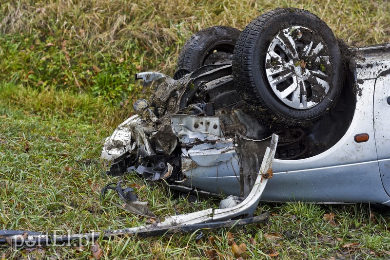 Dachowanie koło Próchnika zdjęcie nr 189331