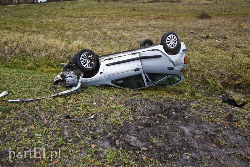 Dachowanie koło Próchnika zdjęcie nr 189334
