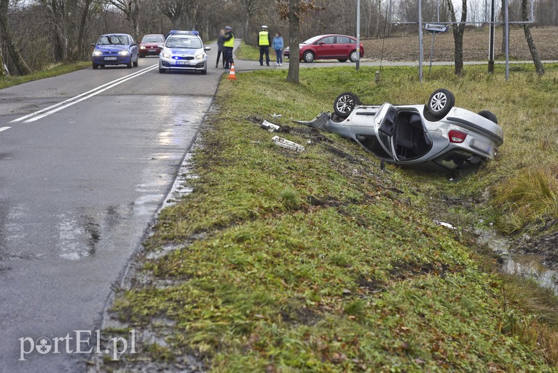 Dachowanie koło Próchnika zdjęcie nr 189332