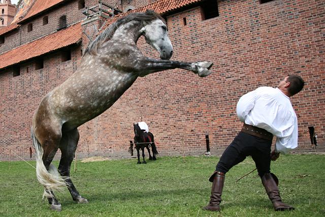 Elbląg Wielki turniej