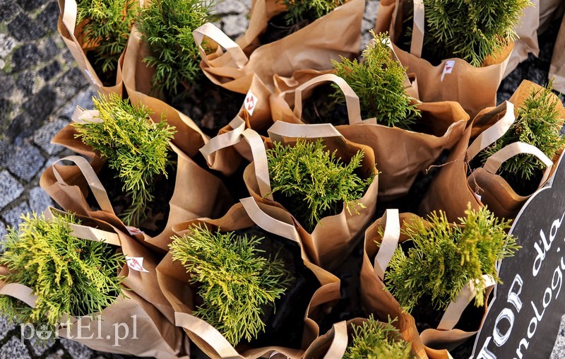 Jeśli nie zaczniemy działać czeka nas katastrofa zdjęcie nr 190102