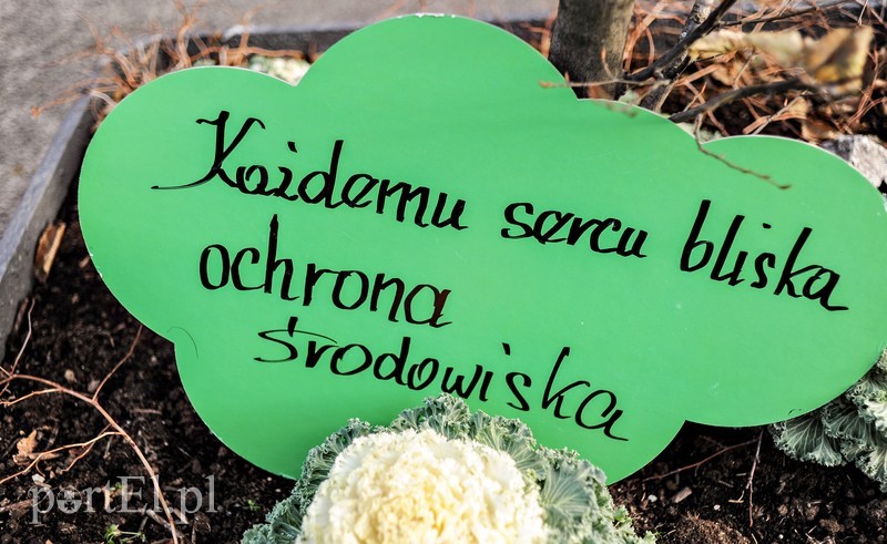 Jeśli nie zaczniemy działać czeka nas katastrofa zdjęcie nr 190101