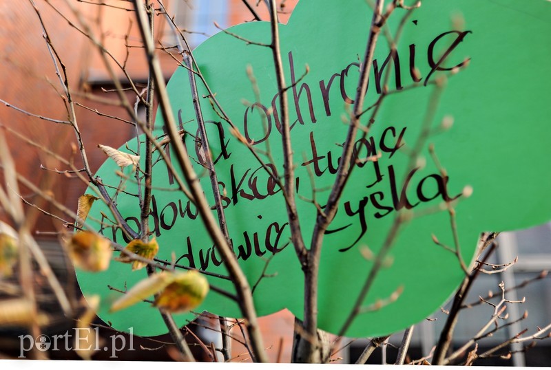 Jeśli nie zaczniemy działać czeka nas katastrofa zdjęcie nr 190100