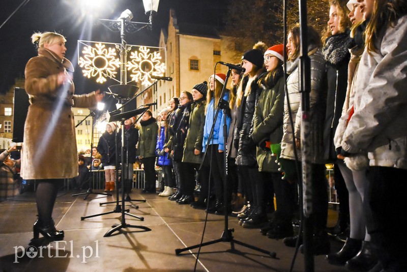 Choinka już zdobi Stare Miasto zdjęcie nr 190407