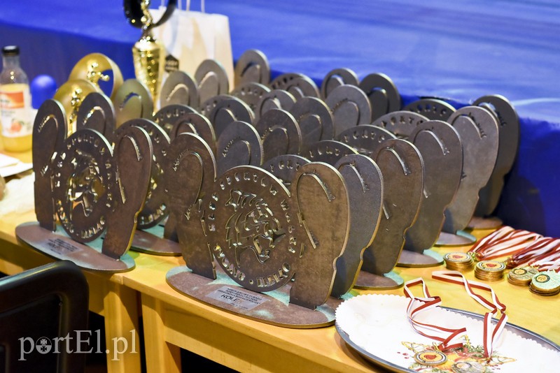 Elbląg Tygrysy walczyły w ringu