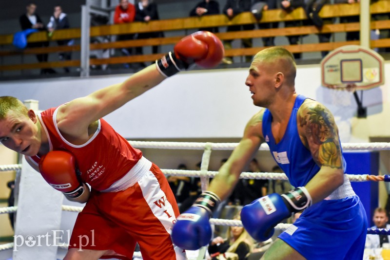 Tygrysy walczyły w ringu zdjęcie nr 190716