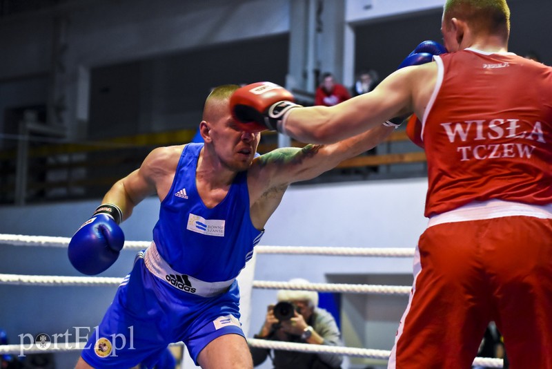 Tygrysy walczyły w ringu zdjęcie nr 190728