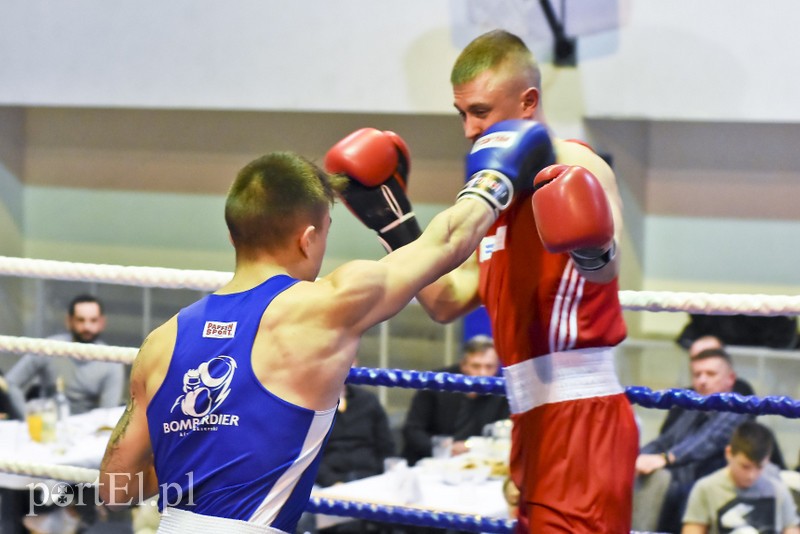 Tygrysy walczyły w ringu zdjęcie nr 190689