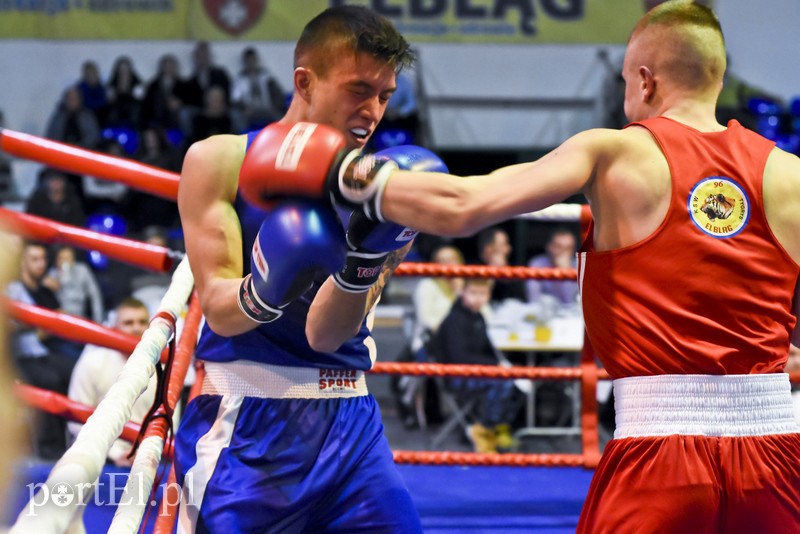 Tygrysy walczyły w ringu zdjęcie nr 190699