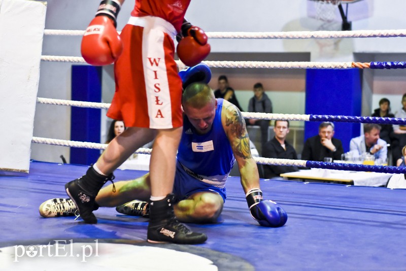 Tygrysy walczyły w ringu zdjęcie nr 190733