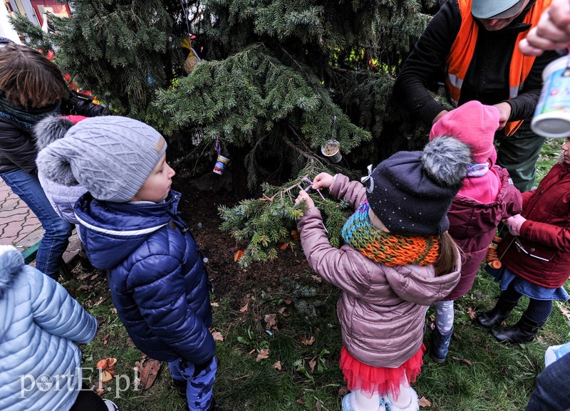 Tu ozdobą są ziarna i marchewki zdjęcie nr 191215