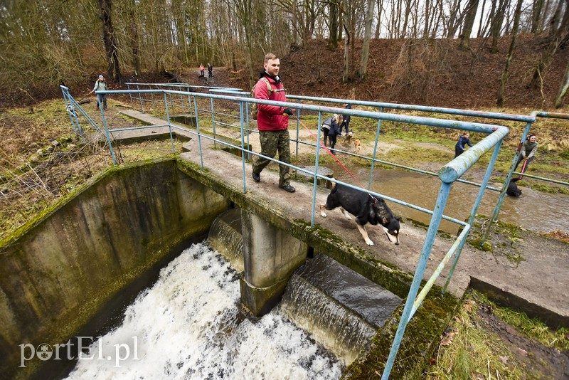 To nie jest typowy bieg zdjęcie nr 191881