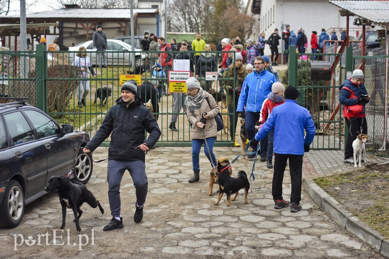 To nie jest typowy bieg zdjęcie nr 191872