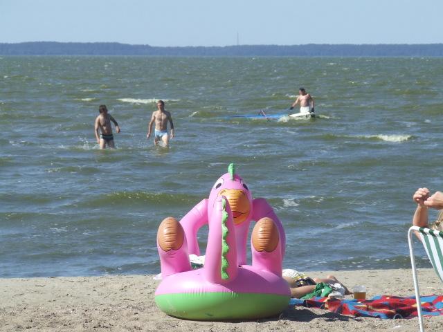 Elbląg Zwycięzcy
