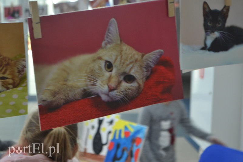 Czekamy na was w schronisku zdjęcie nr 194911